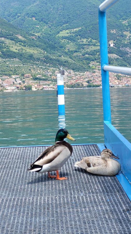 Light On Lake Iseo Clusane 외부 사진
